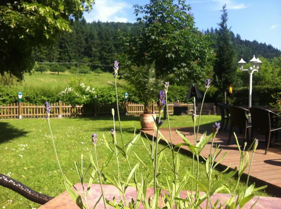 Landgasthof Hirsch Baden-Bade Exterior foto